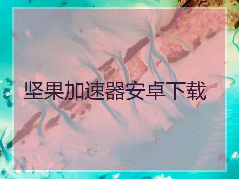 坚果加速器安卓下载