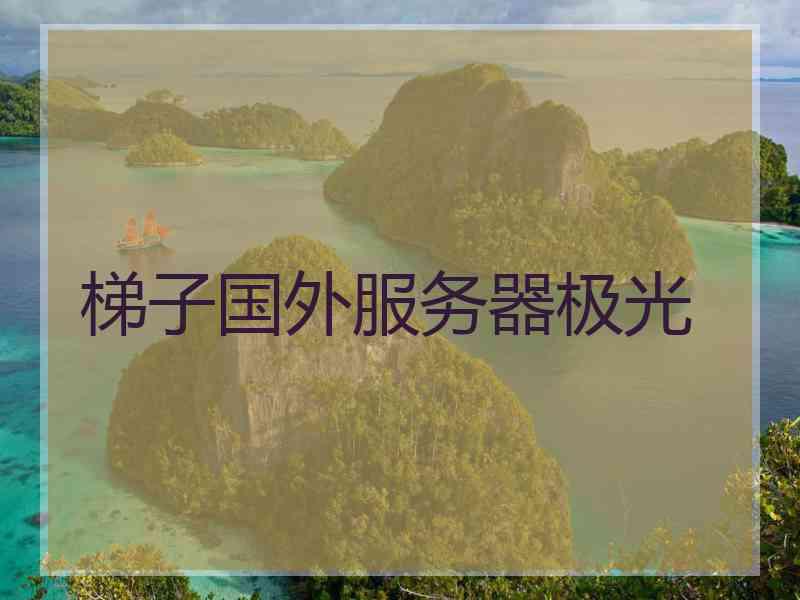 梯子国外服务器极光
