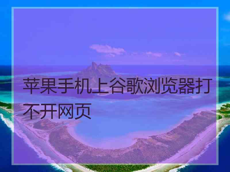苹果手机上谷歌浏览器打不开网页