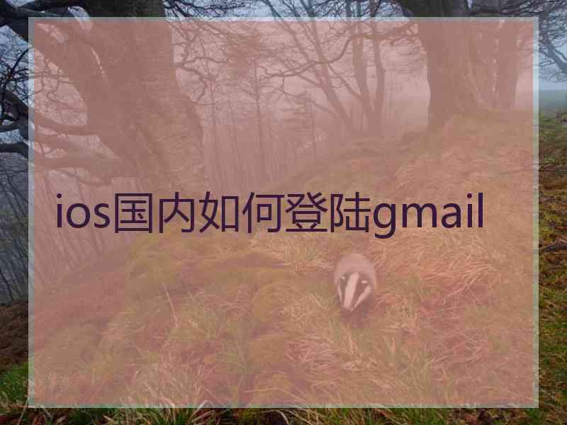ios国内如何登陆gmail