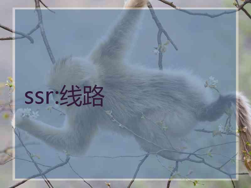 ssr:线路