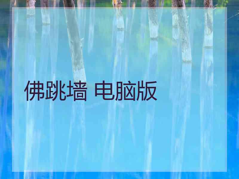 佛跳墙 电脑版