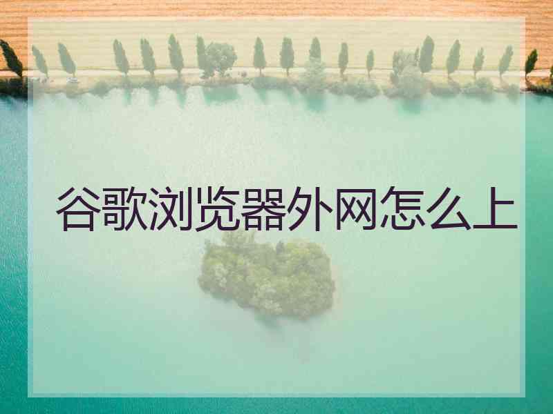 谷歌浏览器外网怎么上