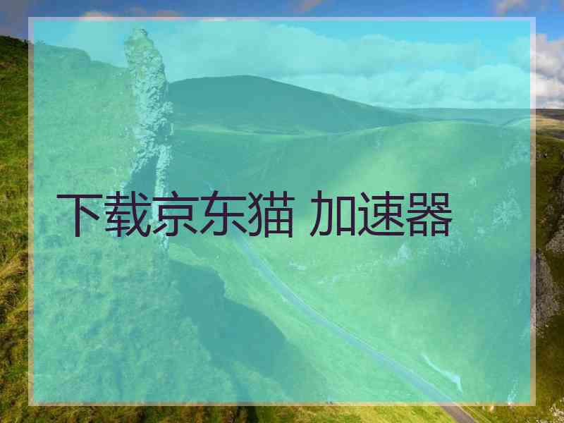 下载京东猫 加速器