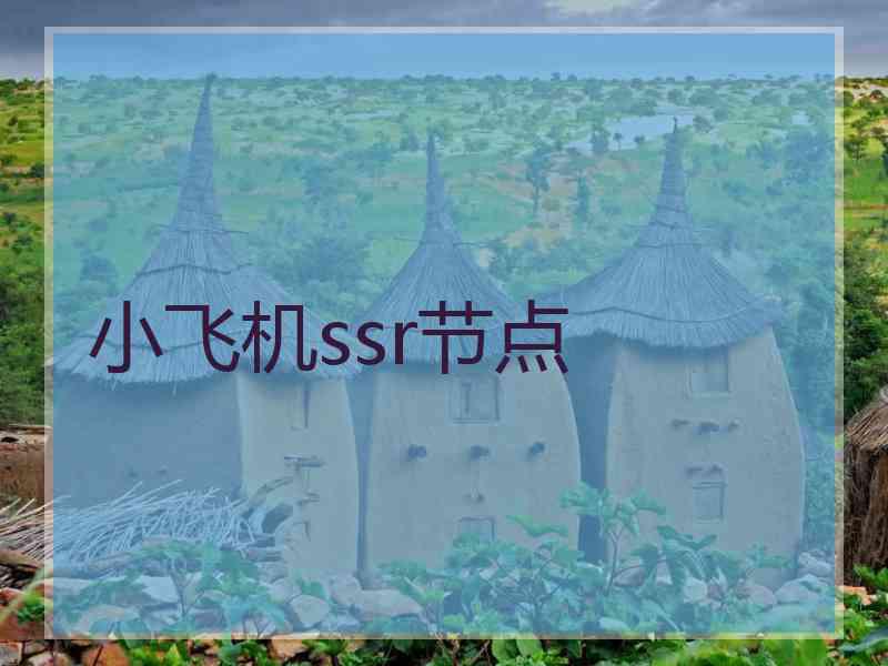 小飞机ssr节点