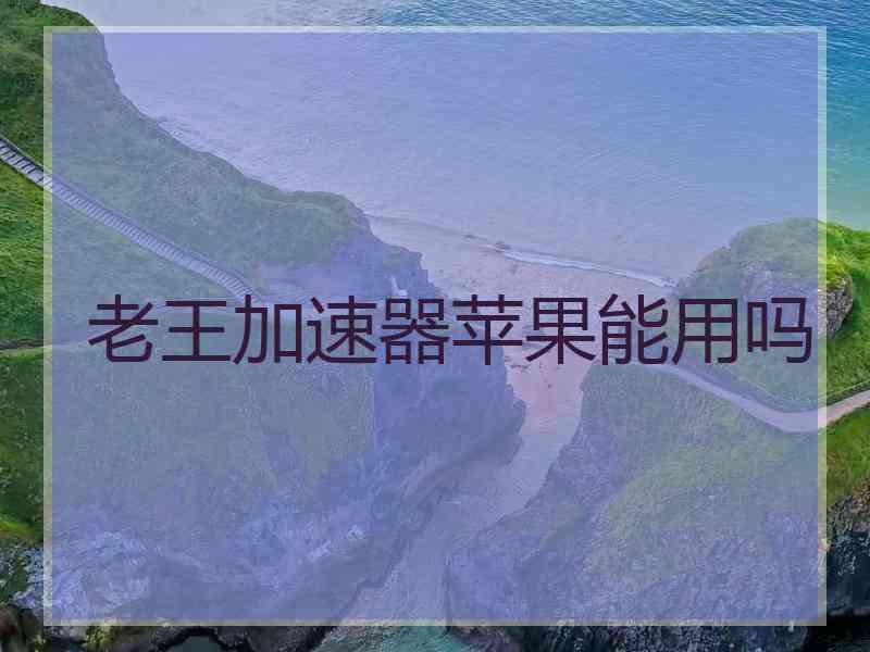 老王加速器苹果能用吗