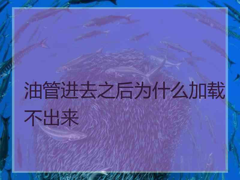 油管进去之后为什么加载不出来