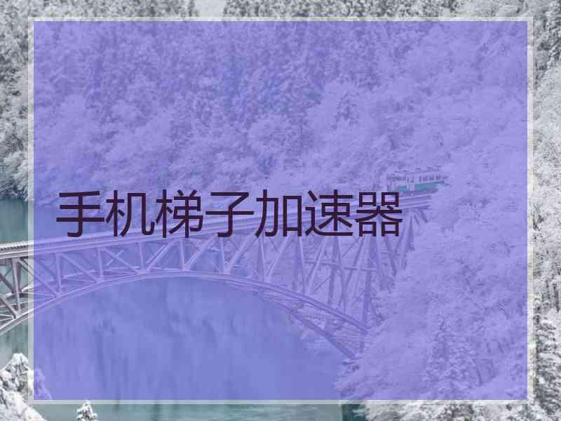 手机梯子加速器