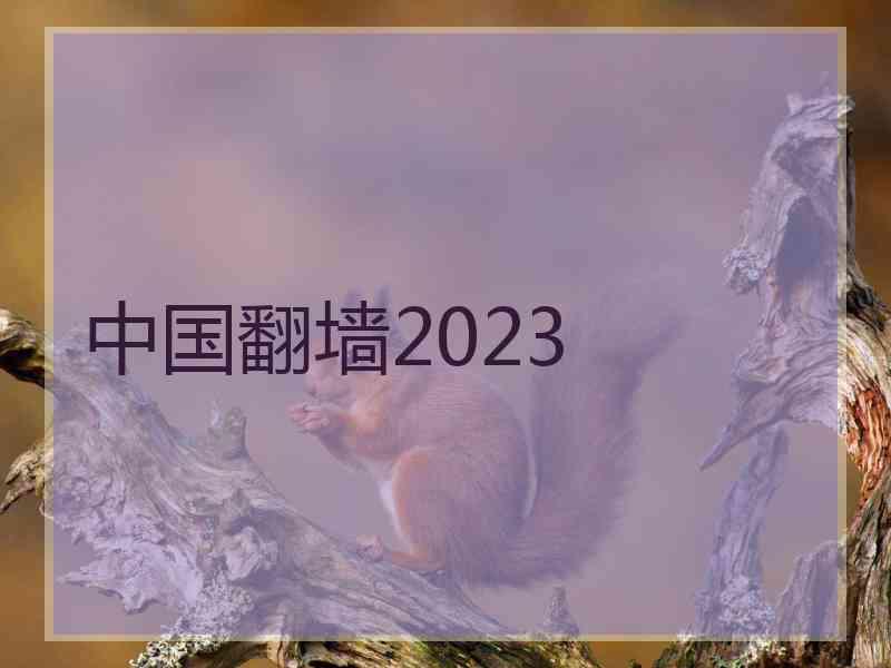 中国翻墙2023