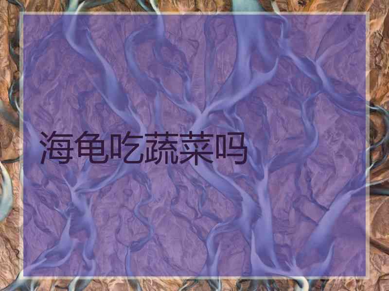 海龟吃蔬菜吗