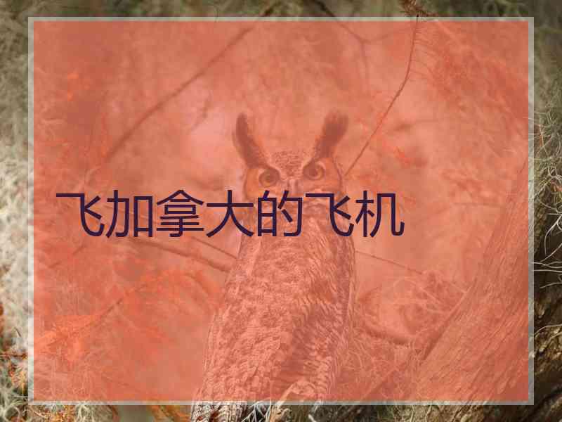 飞加拿大的飞机