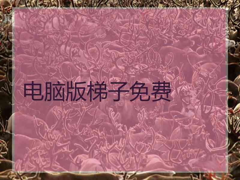 电脑版梯子免费