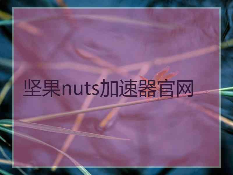 坚果nuts加速器官网