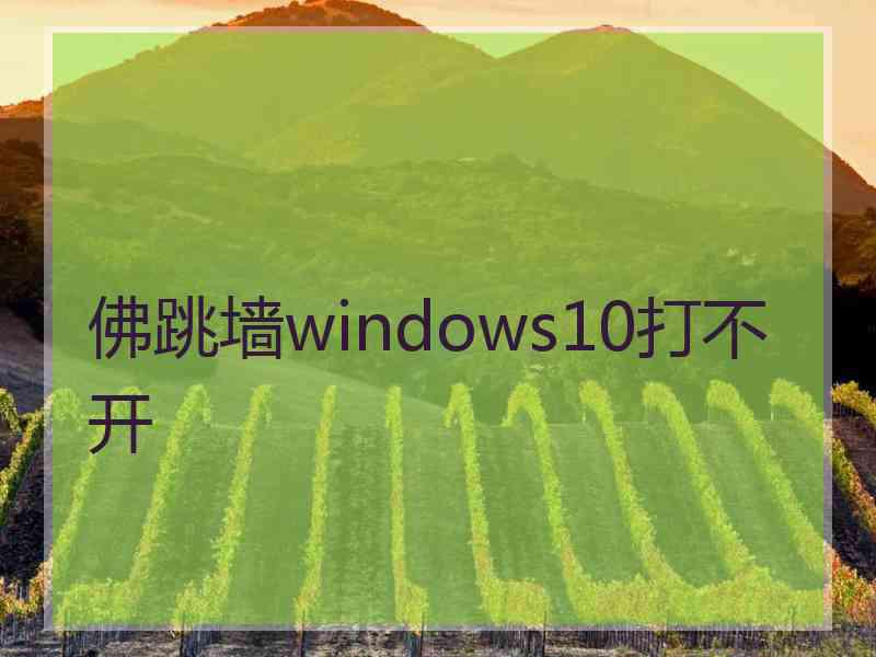 佛跳墙windows10打不开