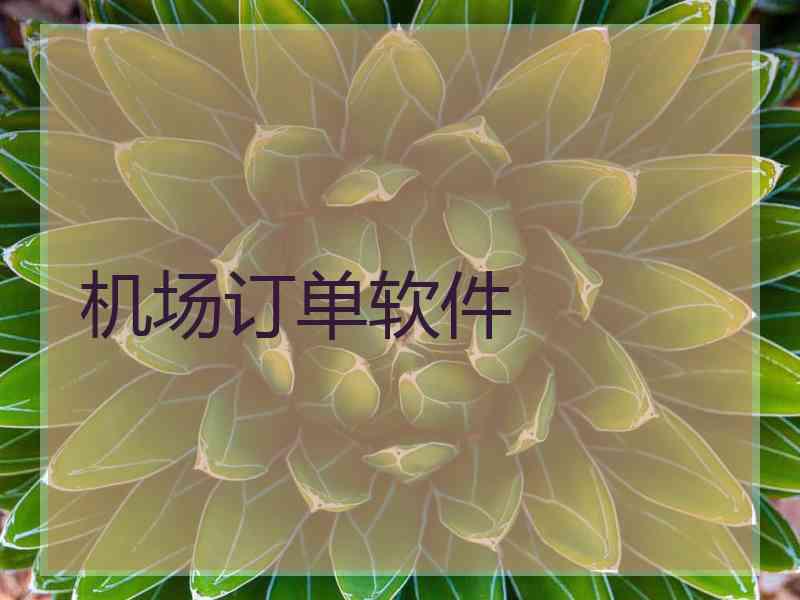 机场订单软件