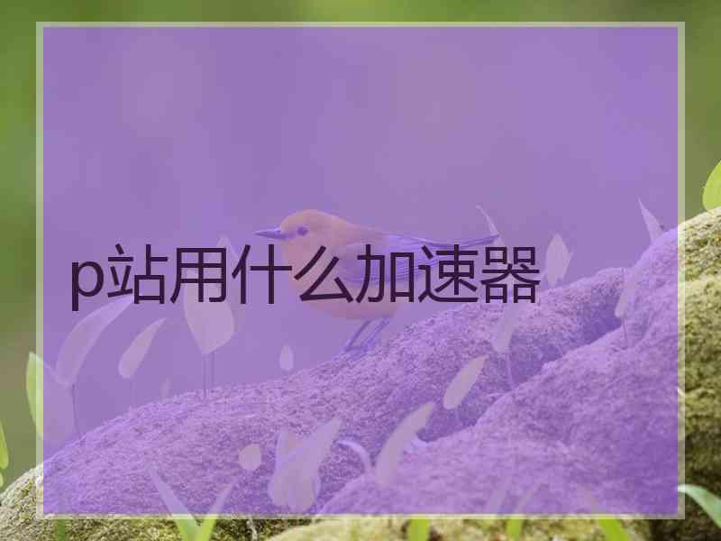 p站用什么加速器