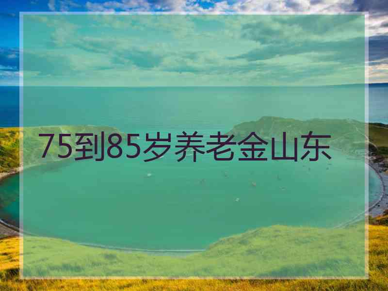 75到85岁养老金山东