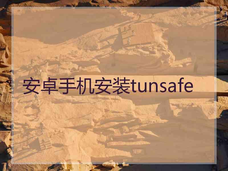 安卓手机安装tunsafe