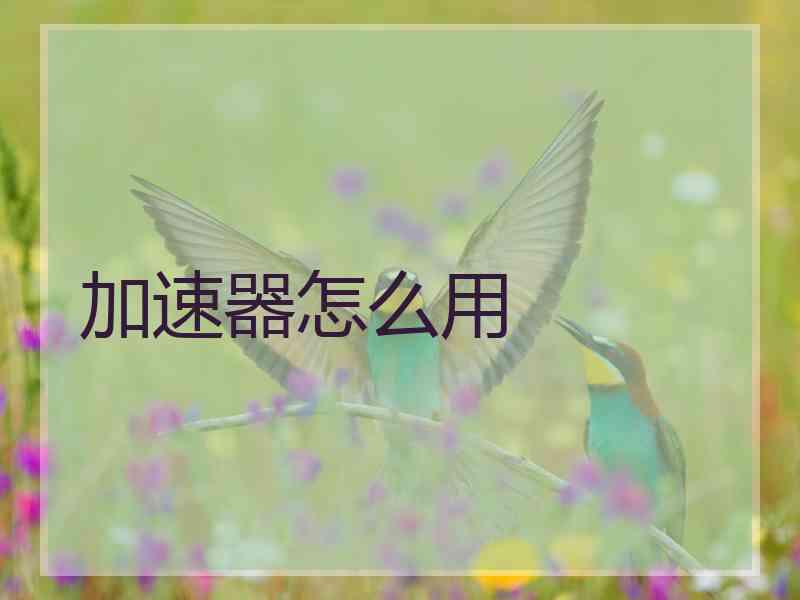 加速器怎么用