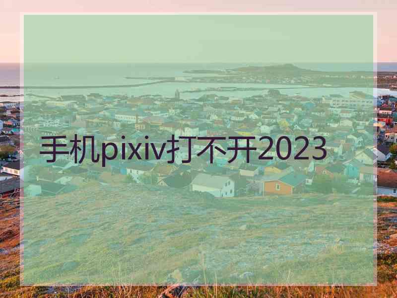 手机pixiv打不开2023