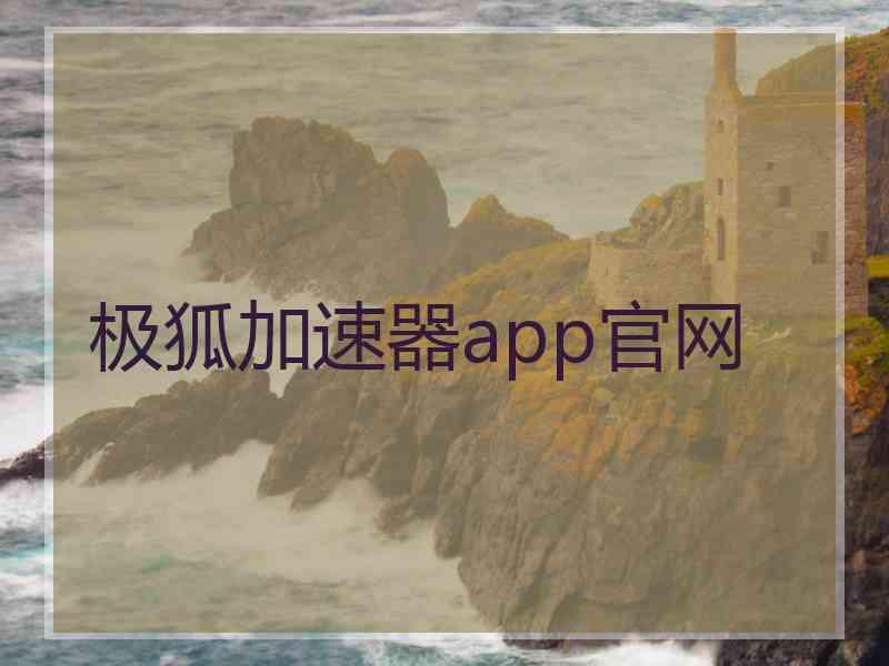 极狐加速器app官网
