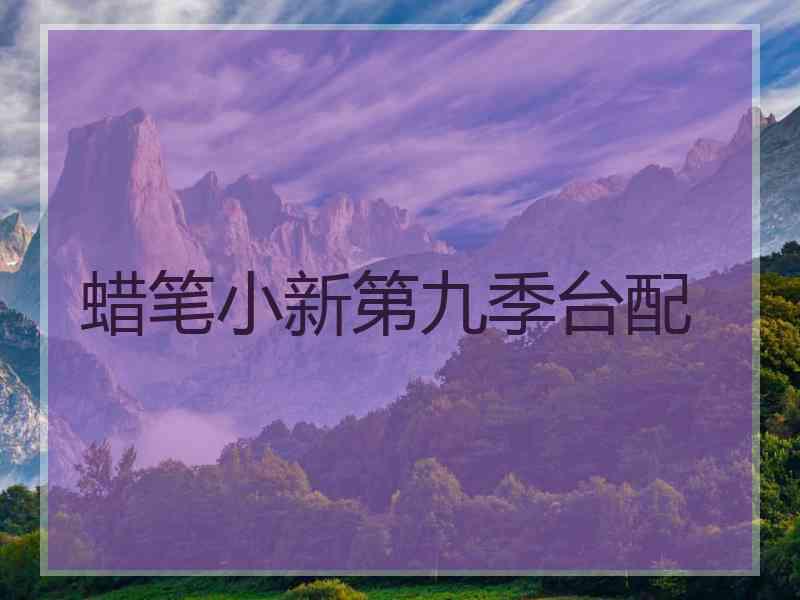 蜡笔小新第九季台配