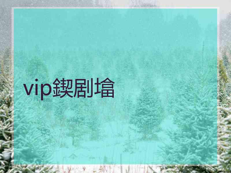 vip鍥剧墖