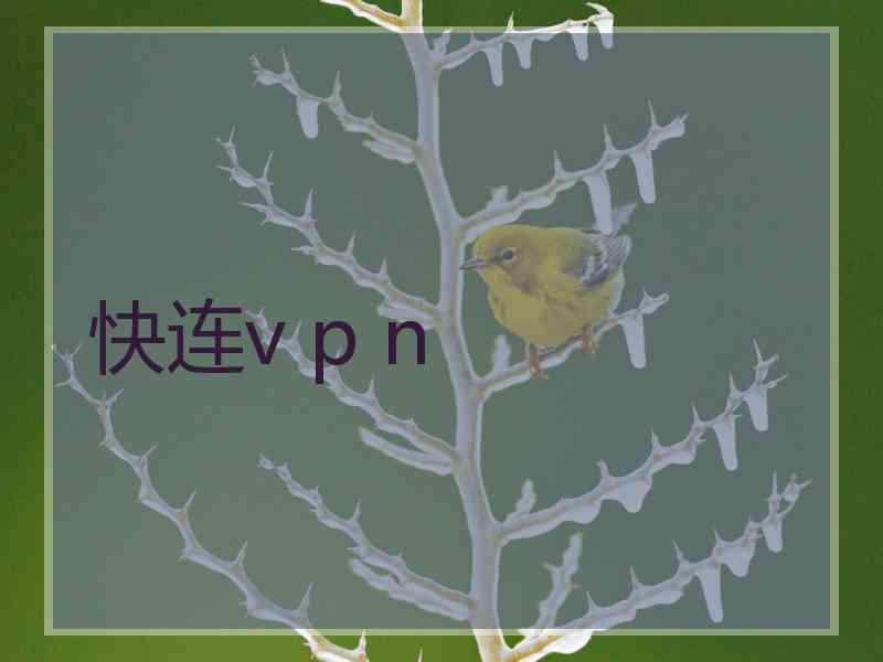 快连v p n