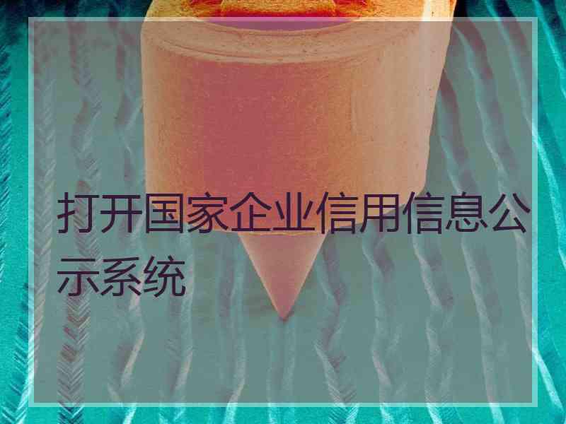 打开国家企业信用信息公示系统