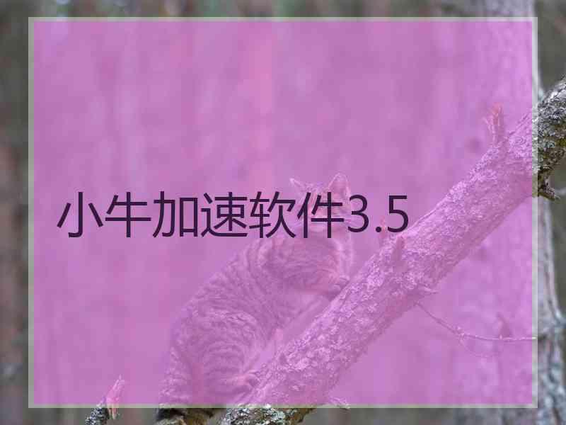 小牛加速软件3.5