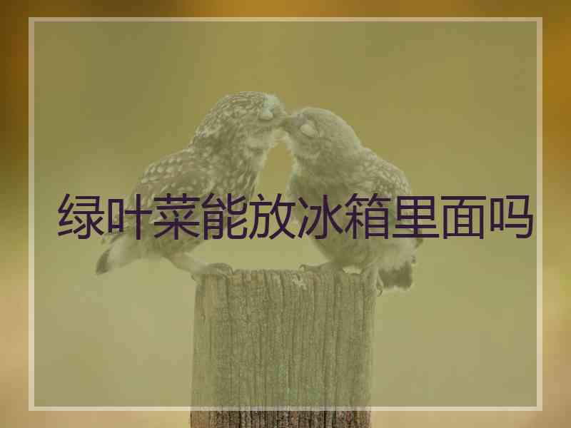 绿叶菜能放冰箱里面吗
