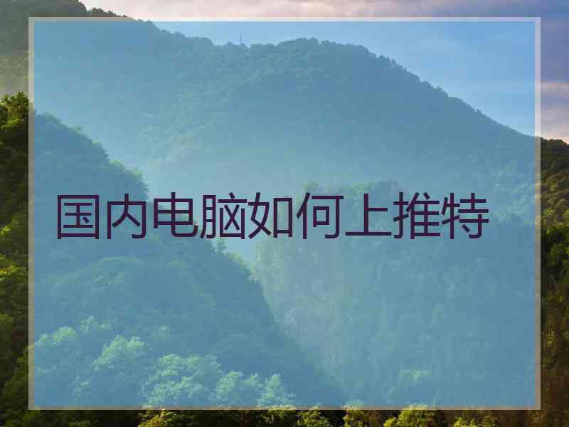 国内电脑如何上推特
