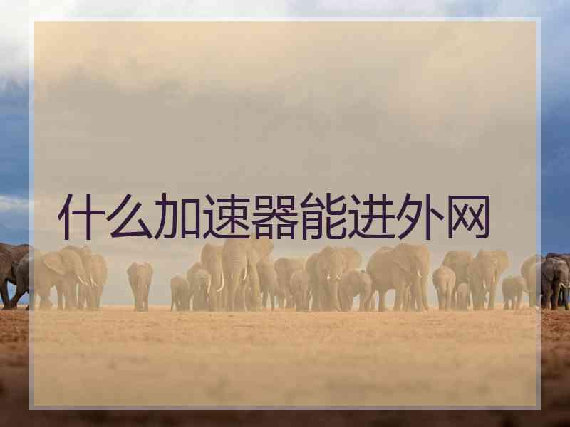什么加速器能进外网