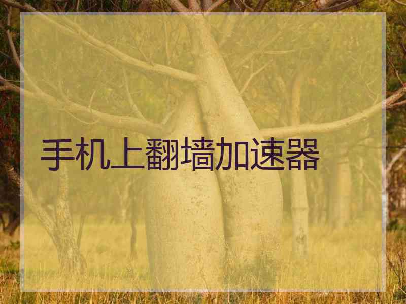 手机上翻墙加速器