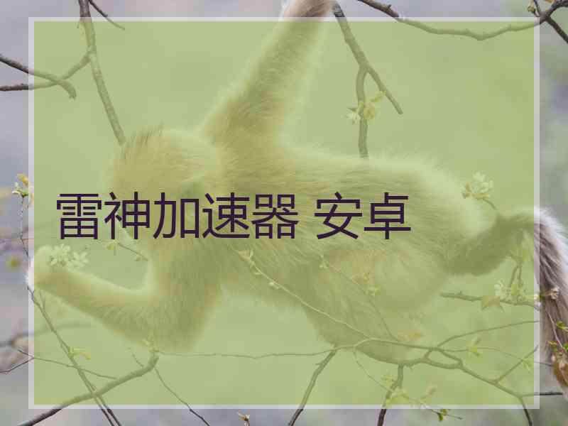 雷神加速器 安卓