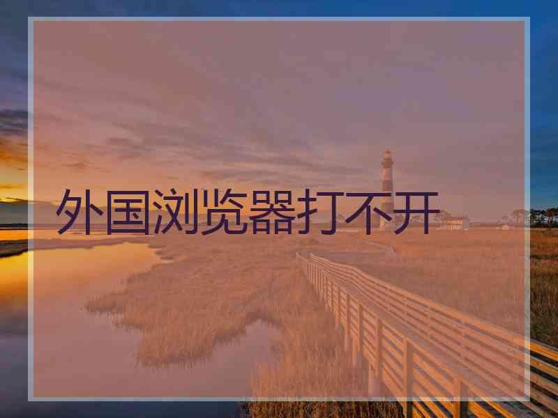 外国浏览器打不开