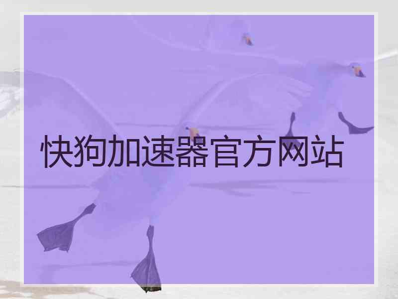 快狗加速器官方网站