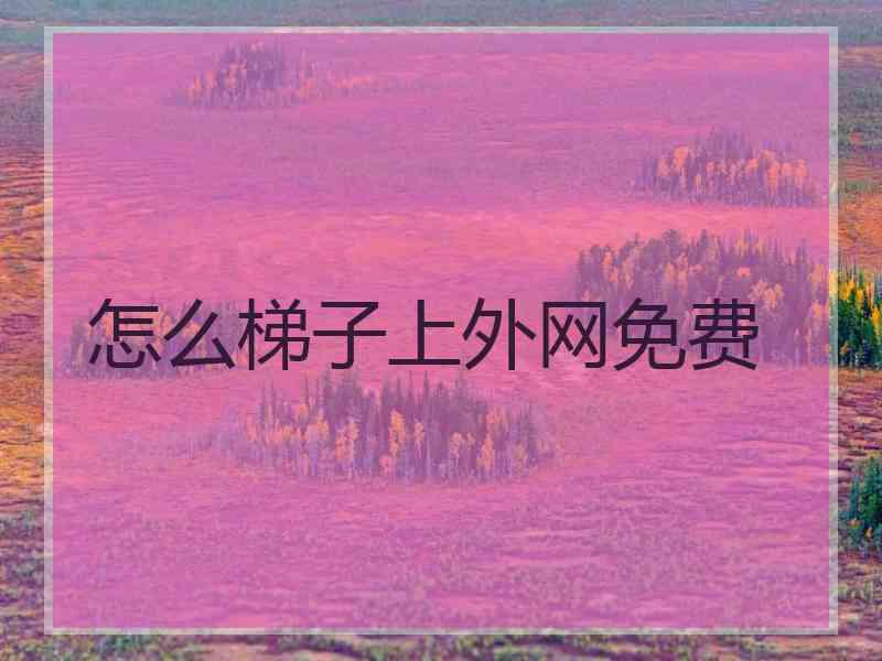 怎么梯子上外网免费