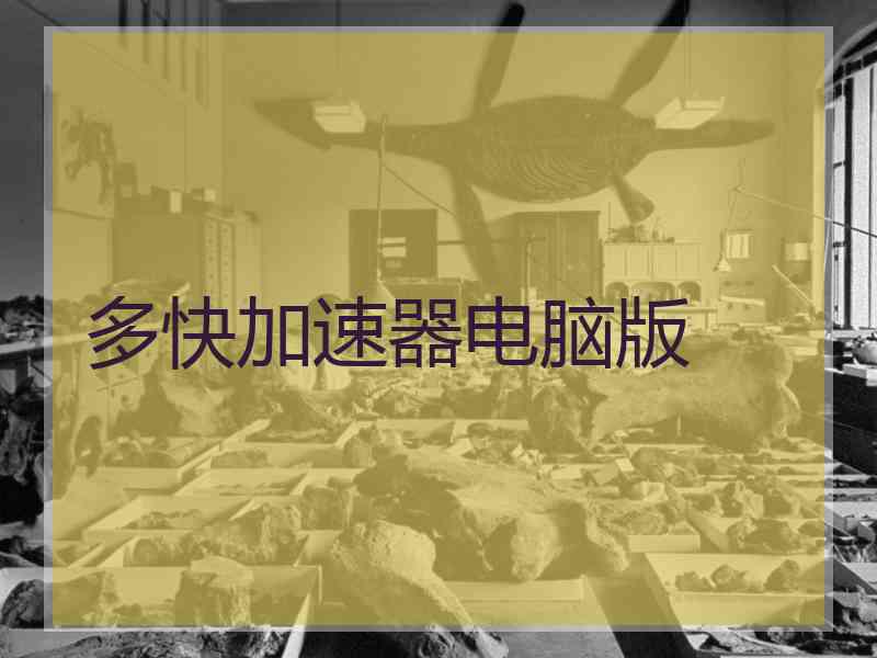 多快加速器电脑版