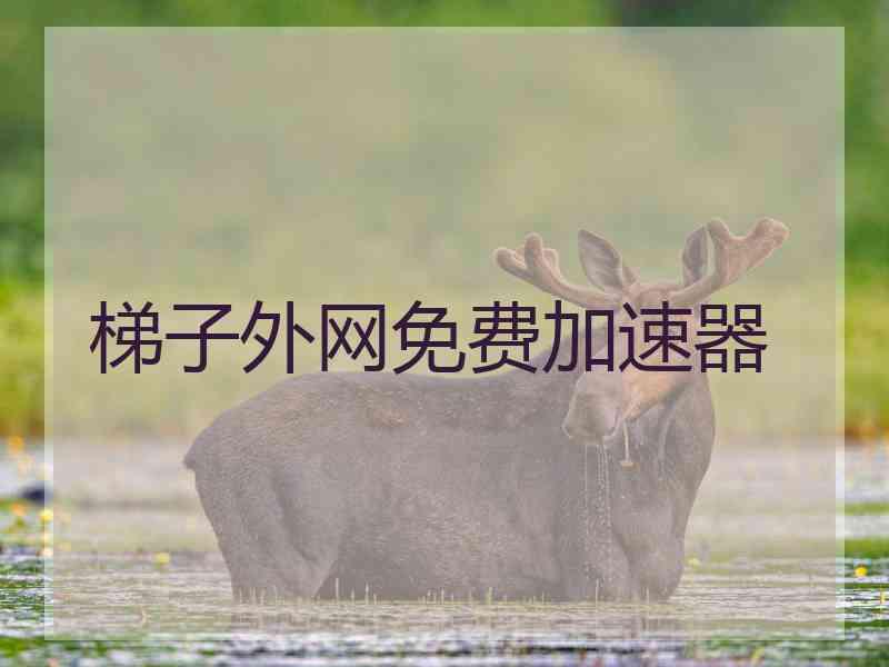 梯子外网免费加速器