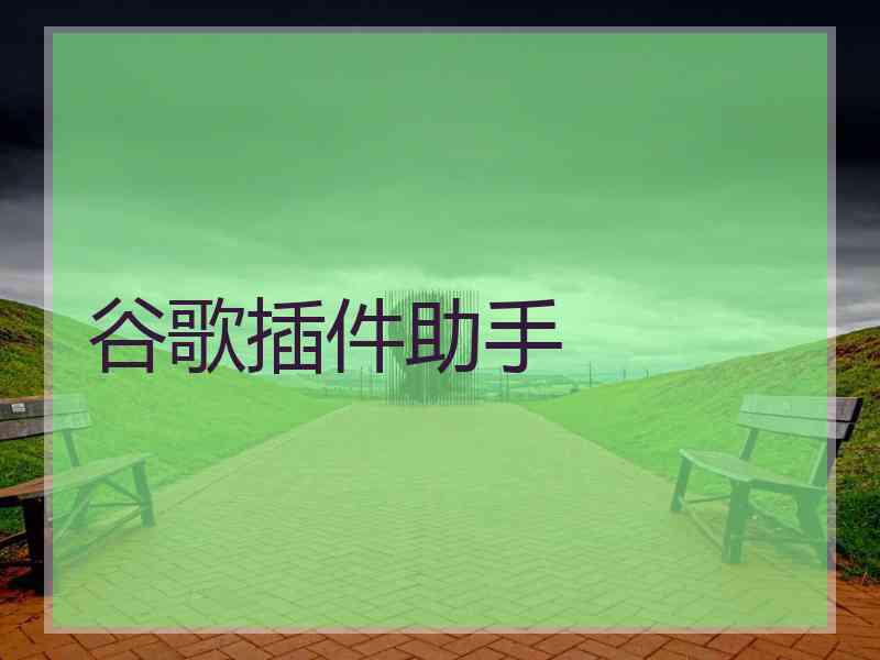谷歌插件助手