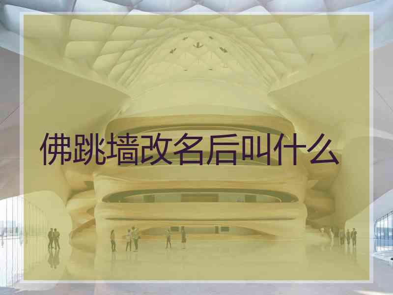 佛跳墙改名后叫什么