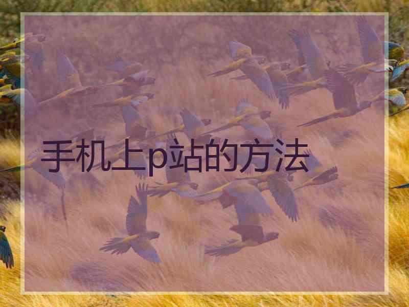 手机上p站的方法