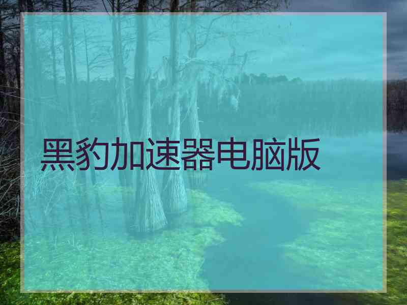 黑豹加速器电脑版