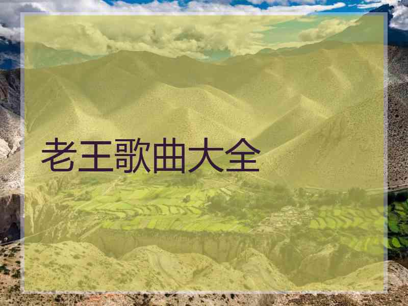 老王歌曲大全