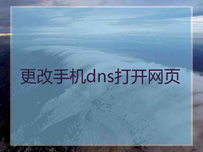 更改手机dns打开网页