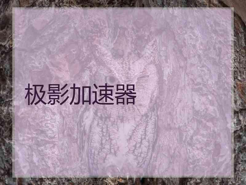 极影加速器