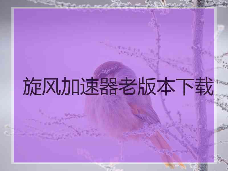 旋风加速器老版本下载