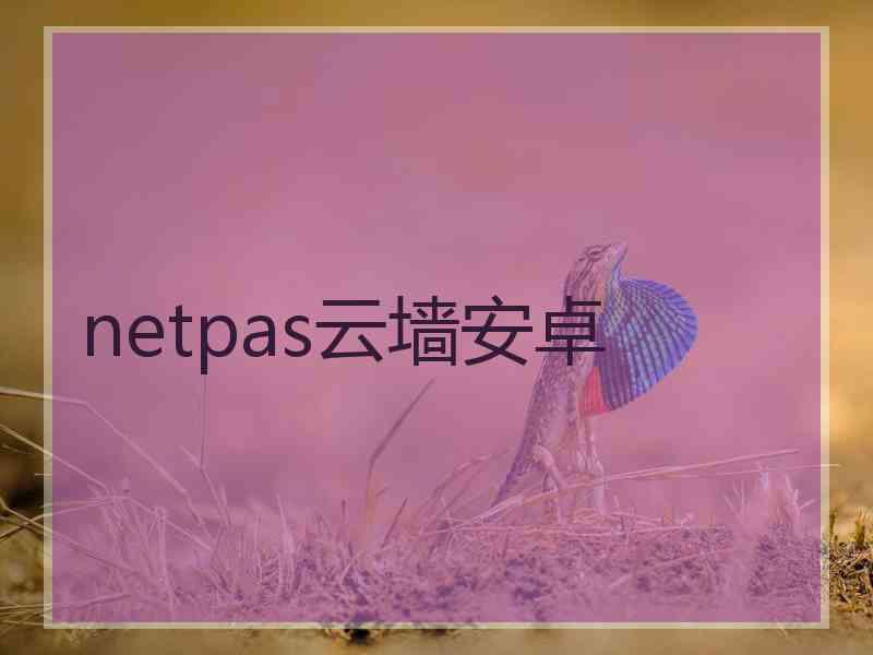 netpas云墙安卓
