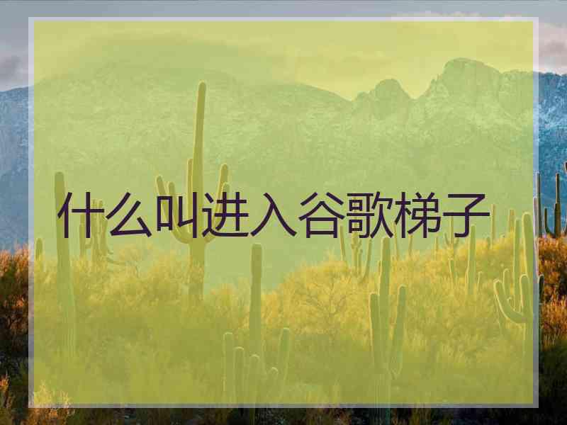 什么叫进入谷歌梯子